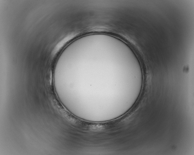 X0000115001317200911161527