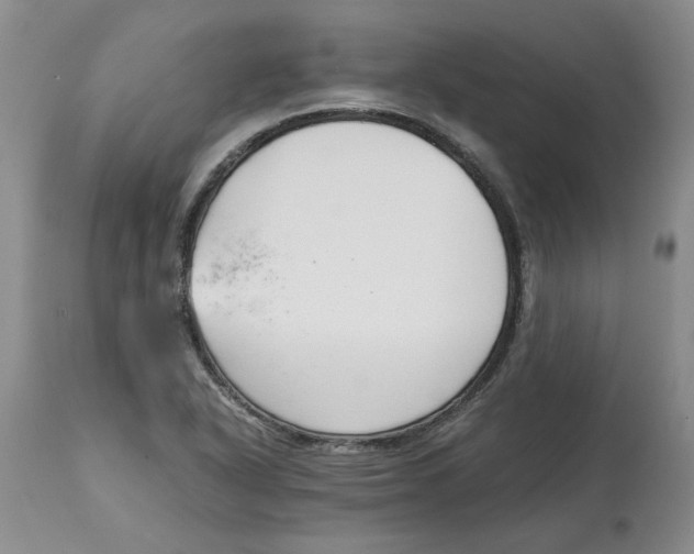 X0000115001318200911161528