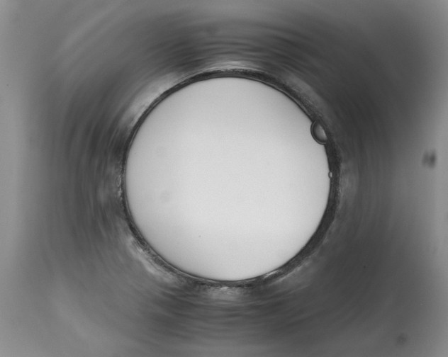 X0000115001321200911161528