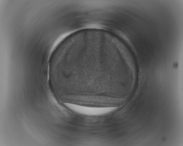 X0000115001323200911161528