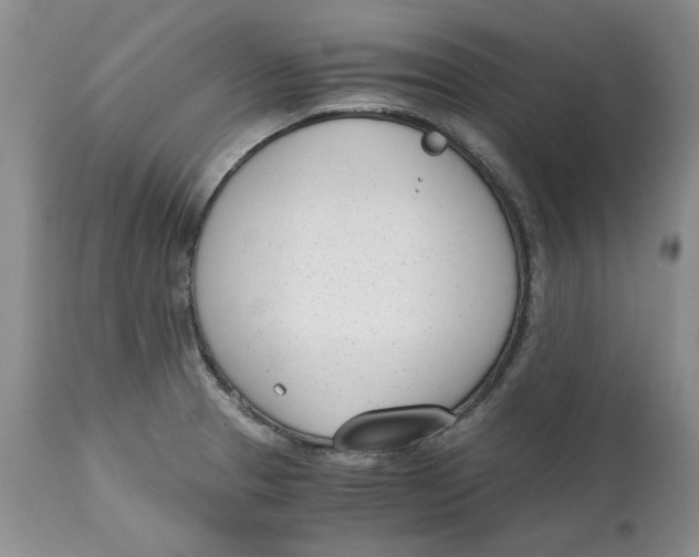 X0000115001329200911161528