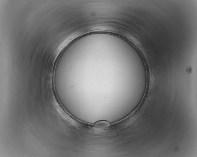 X0000115001330200911161528