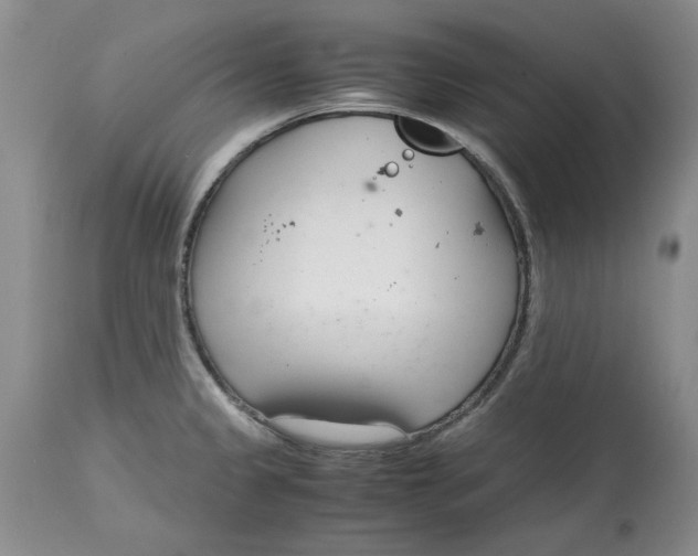 X0000115001333200911161528