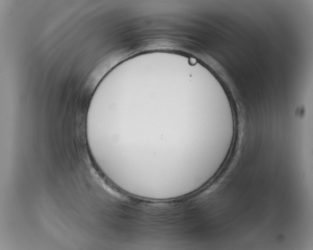 X0000115001337200911161528