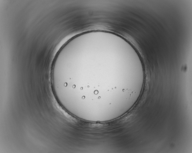 X0000115001339200911161528