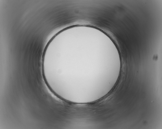 X0000115001343200911161528