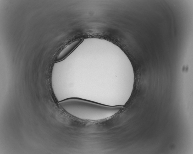 X0000115001345200911161527