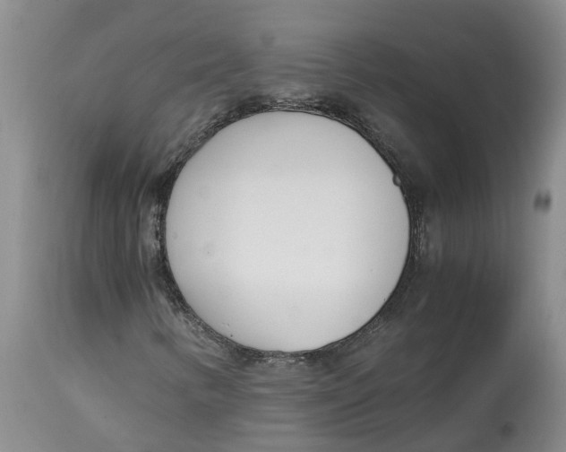 X0000115001346200911161527