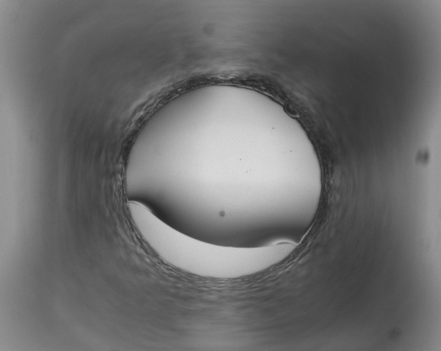 X0000115001349200911161527