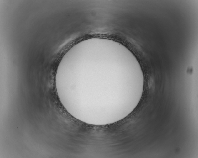 X0000115001350200911161527