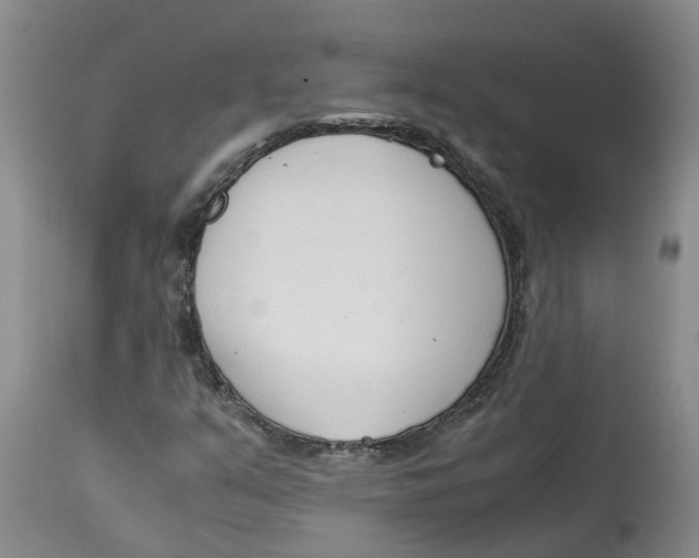 X0000115001351200911161527