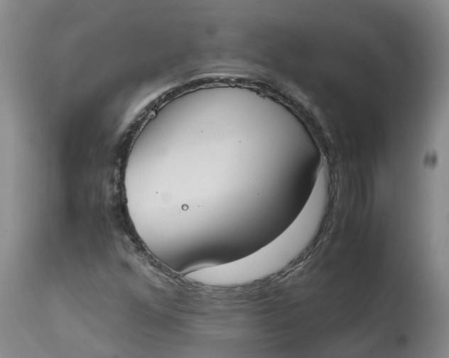 X0000115001352200911161527