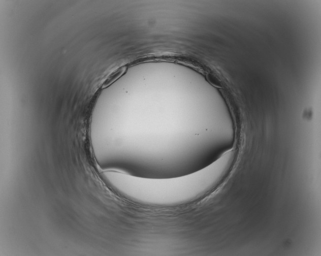 X0000115001353200911161527