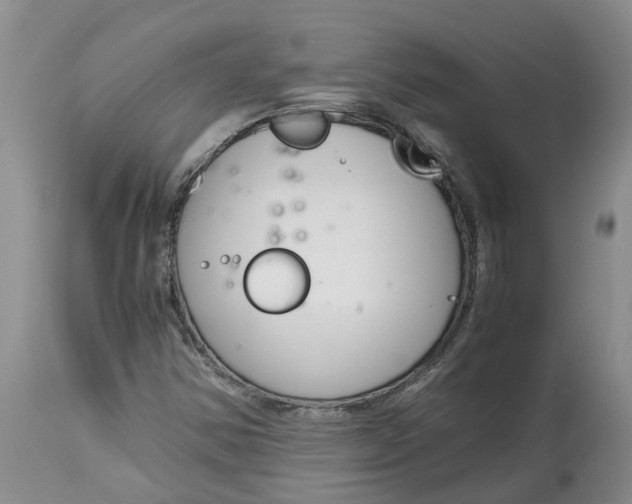 X0000115001354200911161527