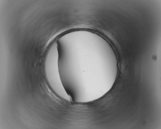 X0000115001356200911161527