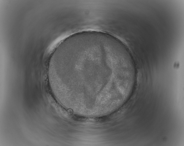 X0000115001359200911161527