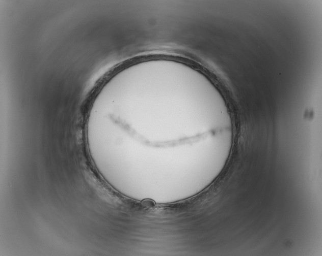 X0000115001360200911161527