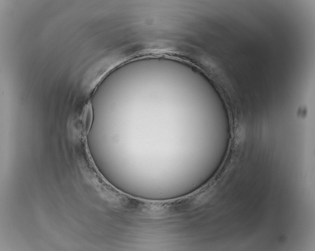 X0000115001361200911161527