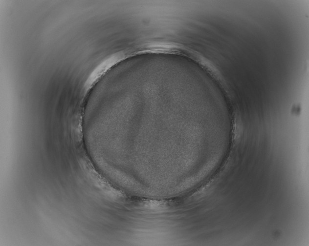 X0000115001362200911161527