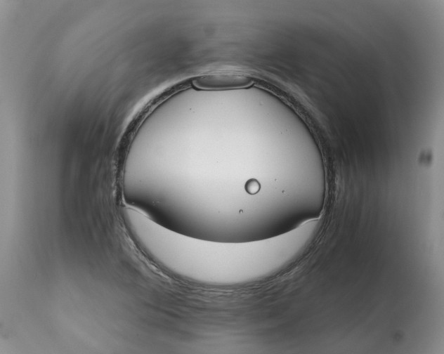 X0000115001364200911161527