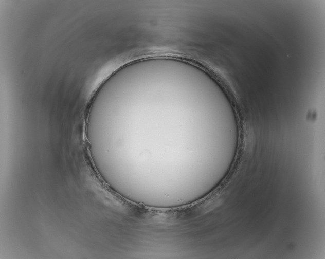 X0000115001365200911161527