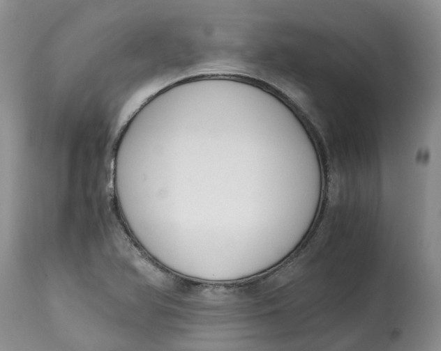 X0000115001366200911161527