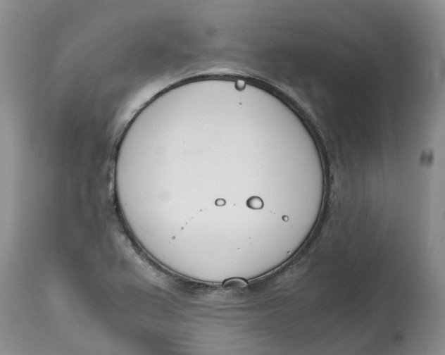 X0000115001367200911161527