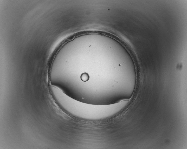 X0000115001368200911161527