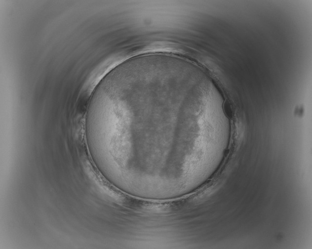 X0000115001369200911161527