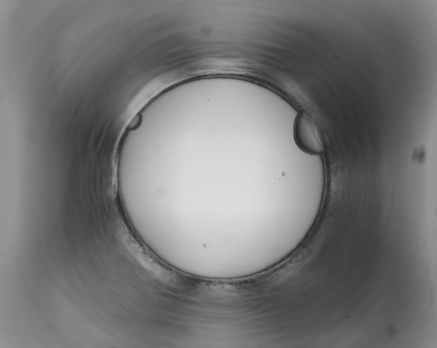 X0000115001370200911161527