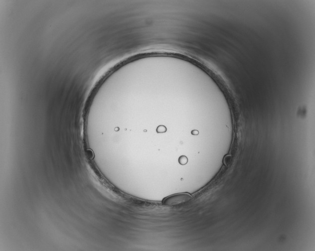 X0000115001372200911161527