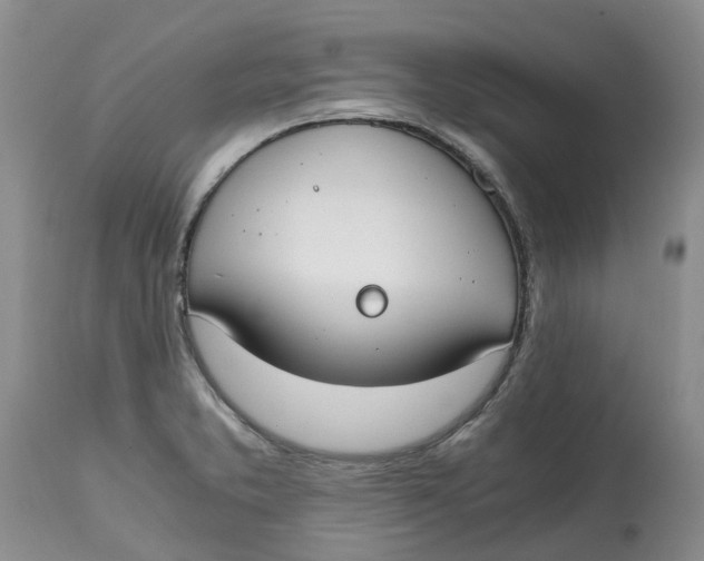 X0000115001373200911161527