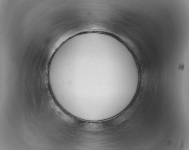 X0000115001374200911161527