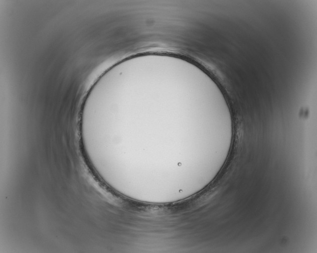 X0000115001375200911161527