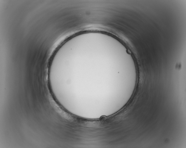 X0000115001376200911161527