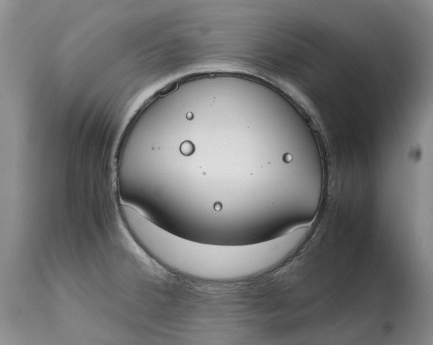 X0000115001380200911161527