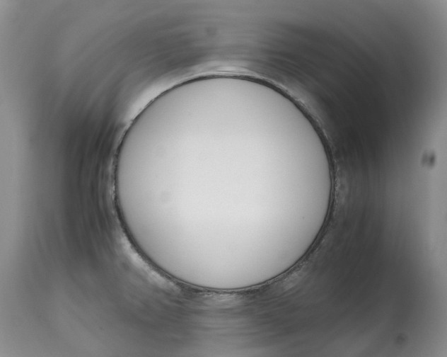 X0000115001382200911161527