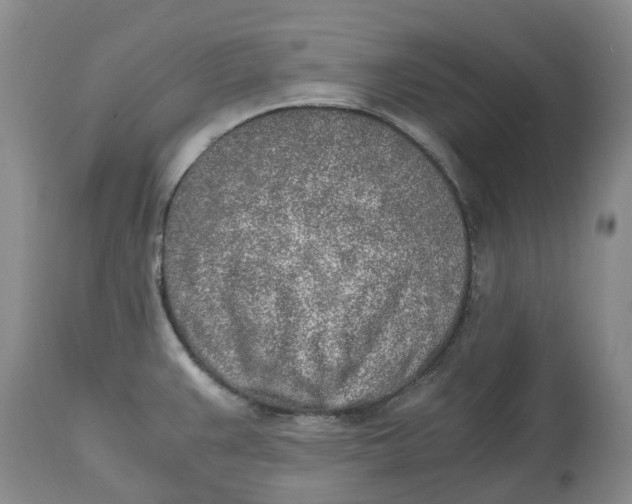 X0000115001383200911161527