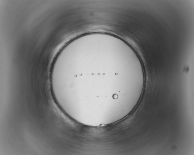 X0000115001384200911161527