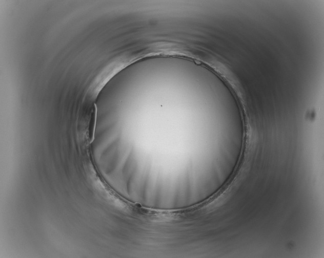 X0000115001385200911161527