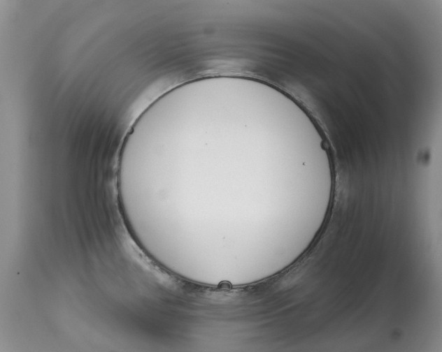 X0000115001386200911161527