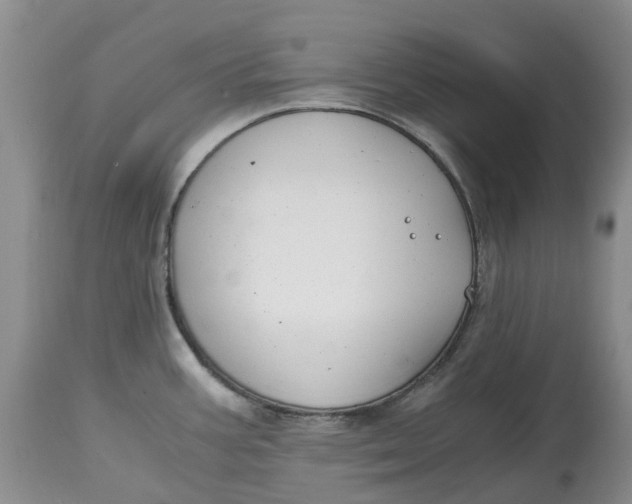 X0000115001387200911161527