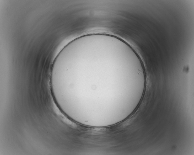 X0000115001390200911161527