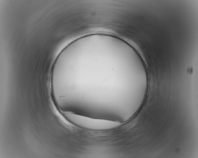 X0000115001391200911161527