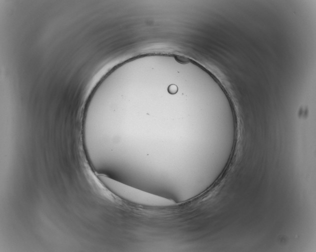 X0000115001392200911161527