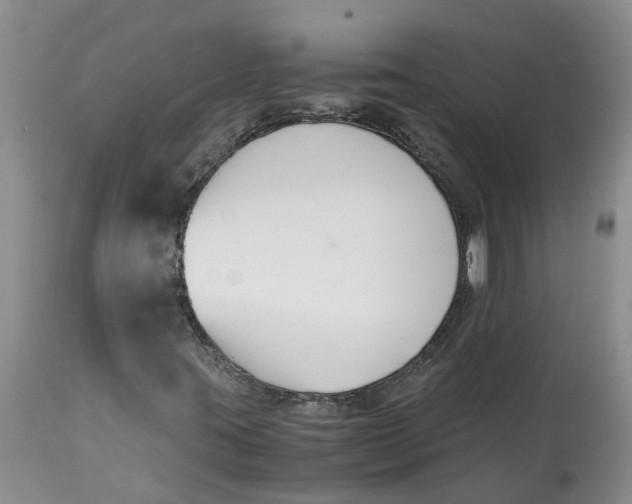 X0000115001395200911161526