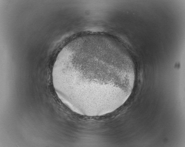 X0000115001398200911161526