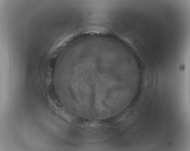 X0000115001399200911161526