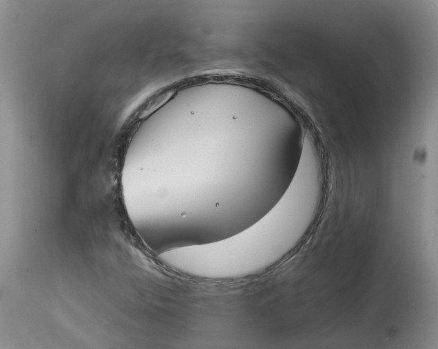 X0000115001400200911161526