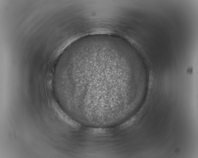 X0000115001401200911161526